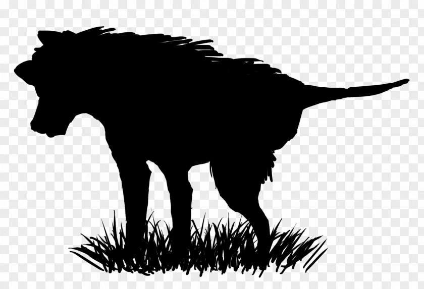 Research Silhouette Dog Mustang Snout Mammal Mane PNG