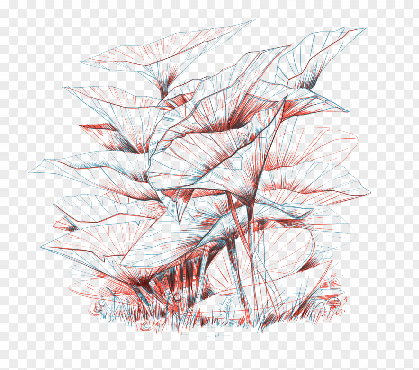 Anthurium Muscle Flower Line Art PNG