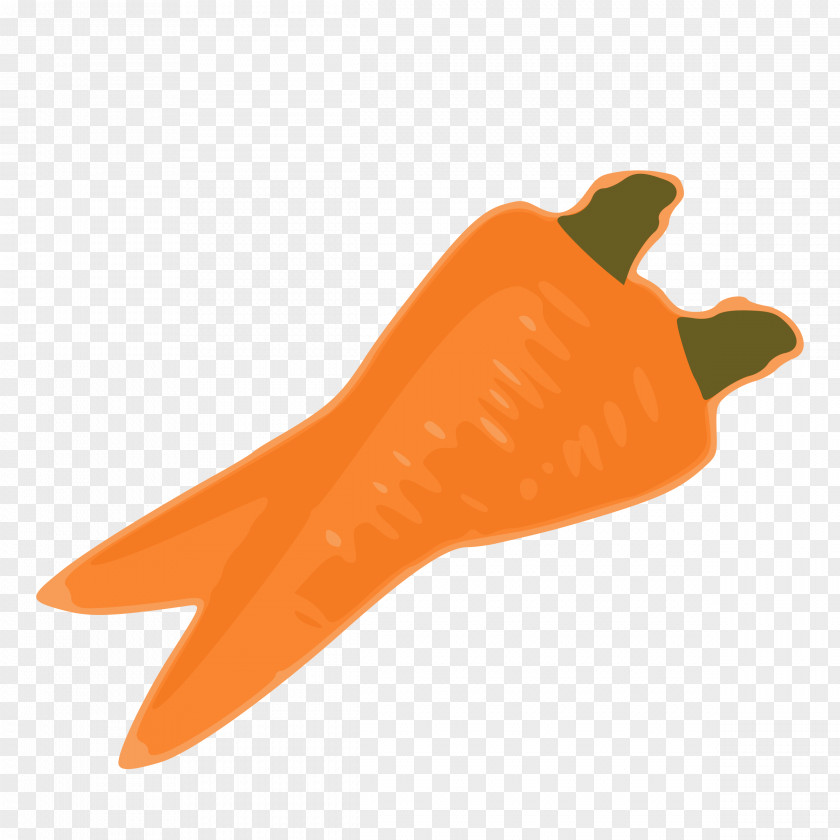 Carrot Vegetable Food PNG