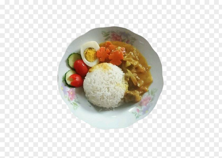 Curry Rice Bowl Photos Cooked Thai Nasi Liwet Indonesian Cuisine PNG