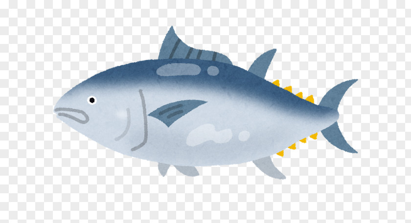 Fish Fin Albacore Thunnus PNG