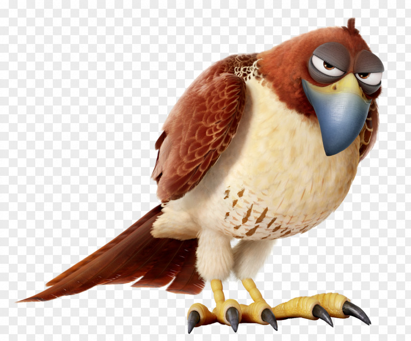 Guinea Pig Tiberius Gidget Wikia Red-tailed Hawk PNG