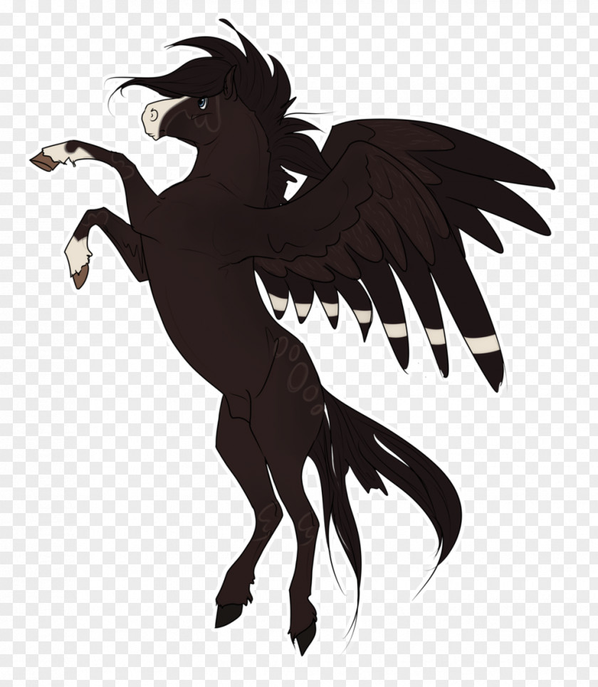 Horse Feather Silhouette Beak PNG