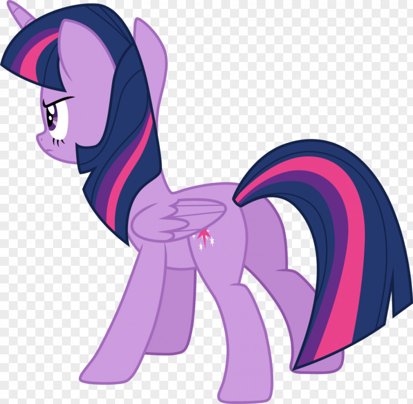 My Little Pony Twilight Sparkle Rarity Rainbow Dash Applejack PNG