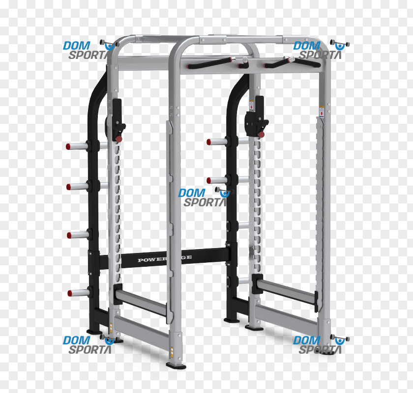 Power Rack Bench Exercise Fitness Centre Physical PNG