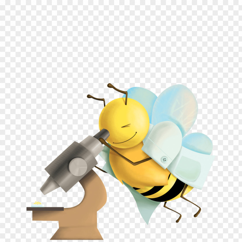 Bee 3BEE SRL Polytechnic University Of Milan Technology Tecnologo Alimentare PNG