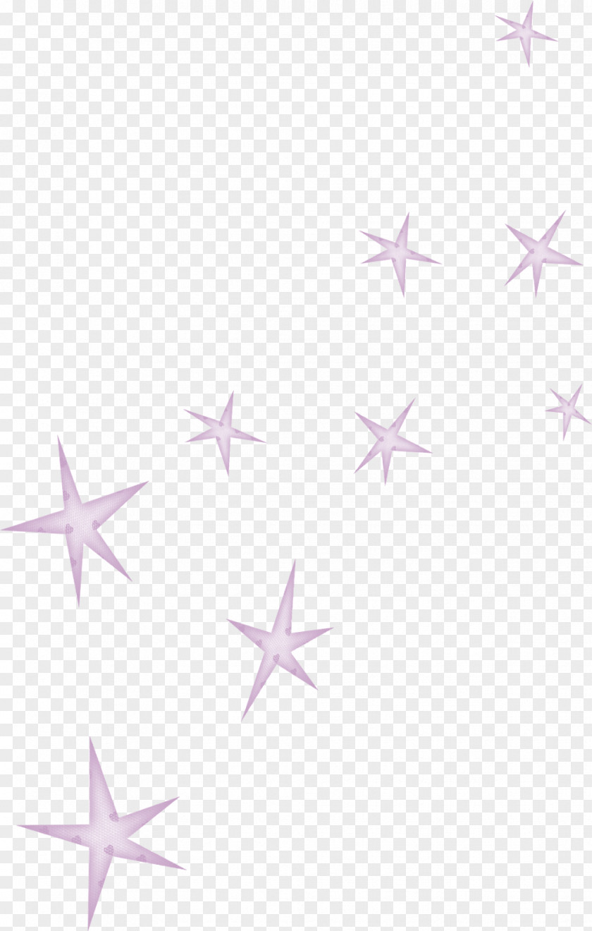 Christmas Star Desktop Wallpaper Image PNG