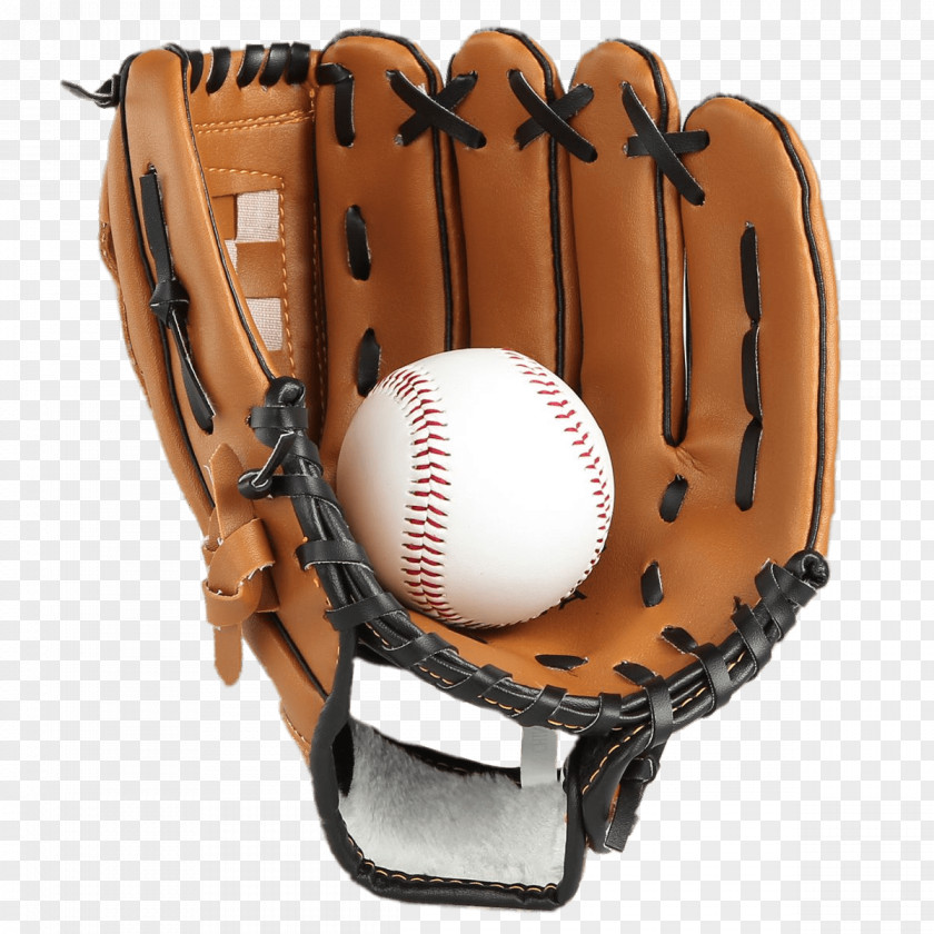 Clove Vector Baseball Glove Softball Bats PNG