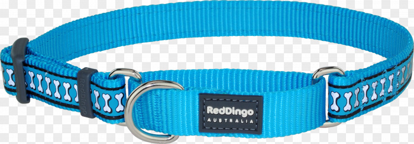 Dog Collars Dingo Collar Martingale PNG