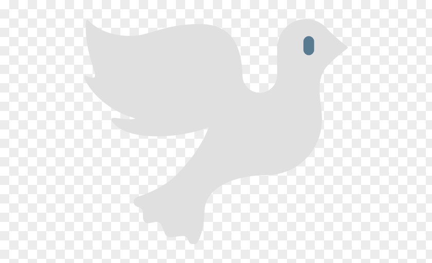 Duck Flightless Bird Feather Clip Art PNG