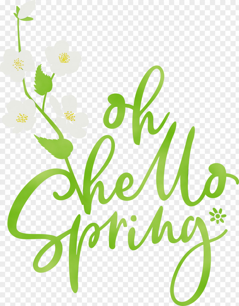 Floral Design PNG