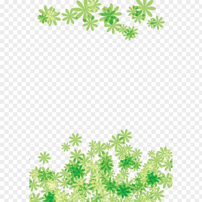 Leaf Plant Stem Flowering PNG