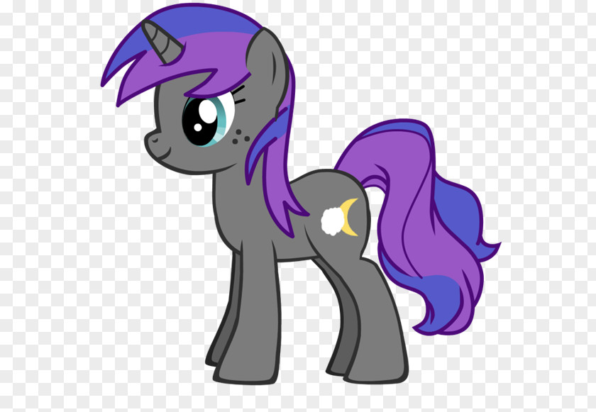 Nigth Pony Pinkie Pie Rarity Twilight Sparkle Equestria PNG