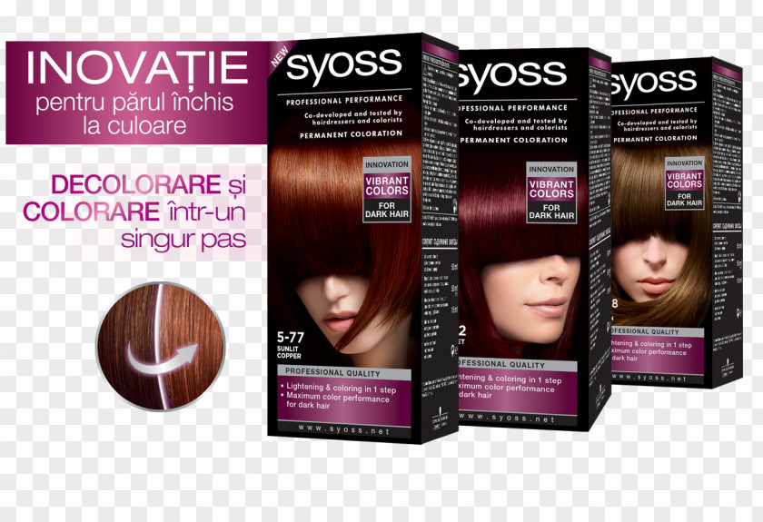 Paint Hair Coloring Bleach Dye PNG