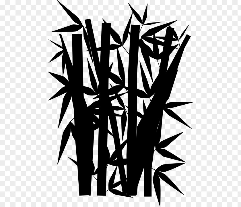 Tree Drawing Arecaceae Clip Art PNG