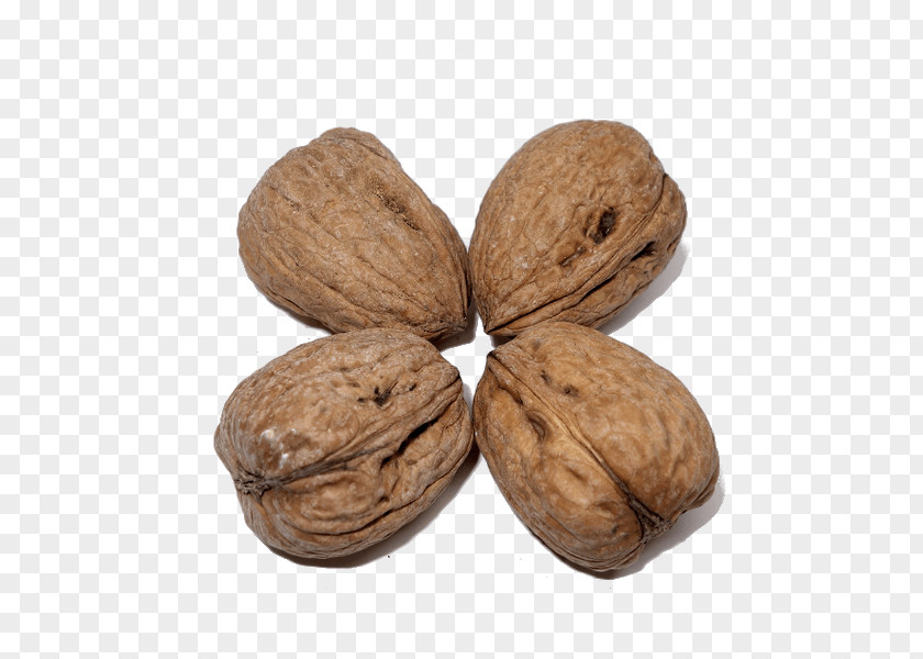 Walnut Superfood Commodity PNG