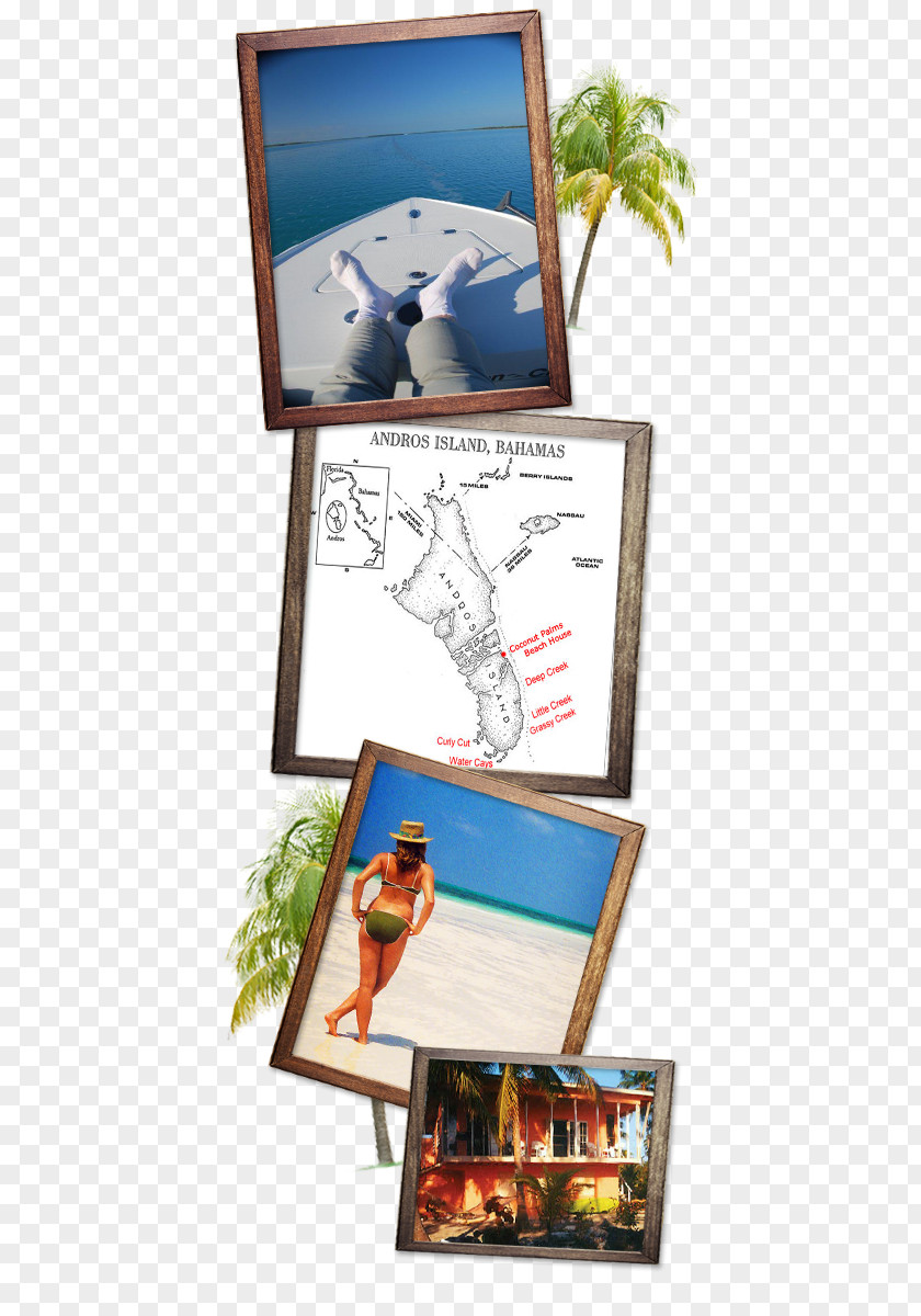 Breezes Resort Bahamas South Andros Fishing Rods Picture Frames Beach PNG
