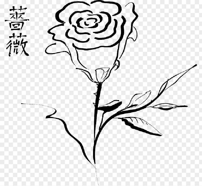 Flower Calligraphy Clip Art Vector Graphics Rose Free Content PNG