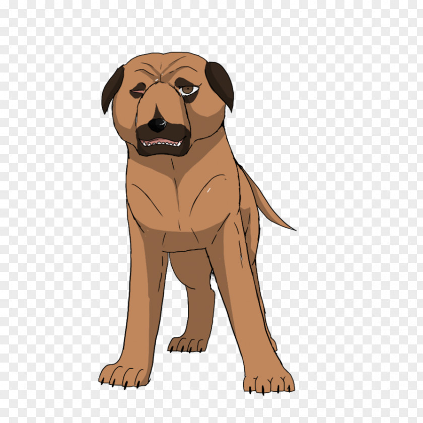 Puppy Dog Breed Sporting Group Snout PNG
