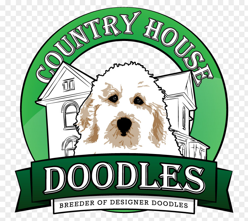 Puppy Goldendoodle COUNTRY HOUSE DOODLES Dog Breed PNG