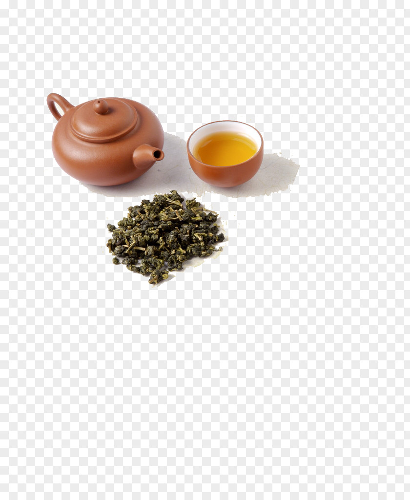 Tea Real Green Oolong Tieguanyin Drinking PNG