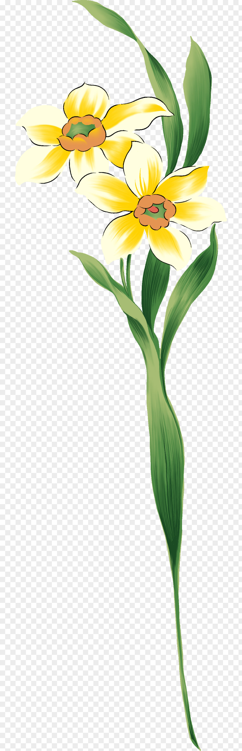 Tipi Flower PNG