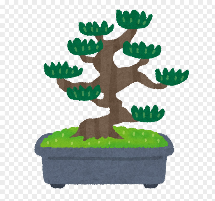 Bonsai 寄せ植え Pruning Pine 鉢 PNG