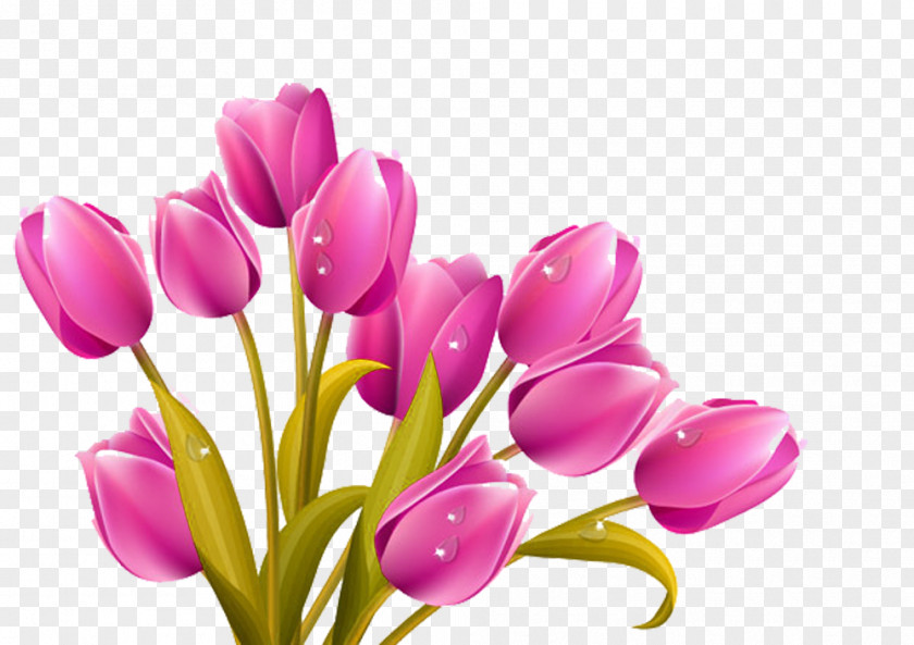 Cartoon Purple Tulip Picture Material Flower Bouquet Clip Art PNG