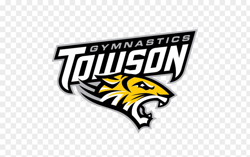 Field Hockey Towson University Tigers Football Women's Basketball Of Delaware PNG