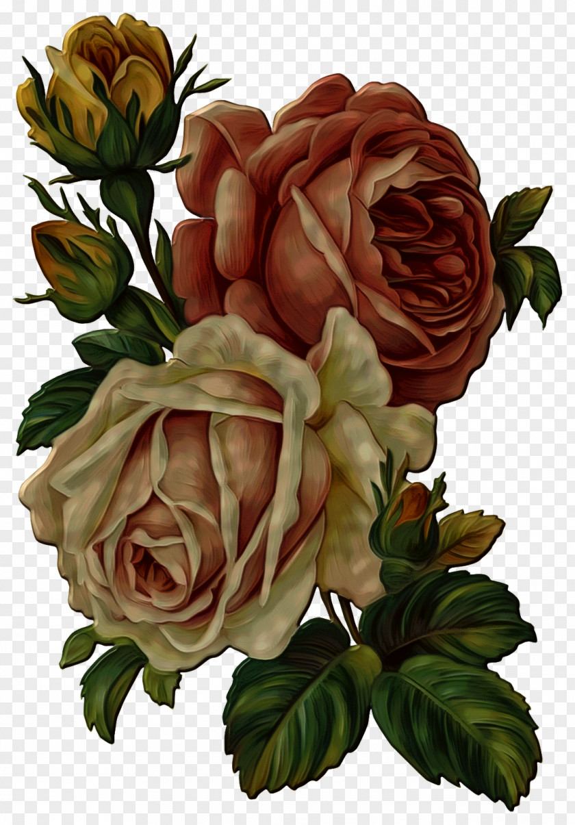 Flower BrowN Rose Clip Art PNG