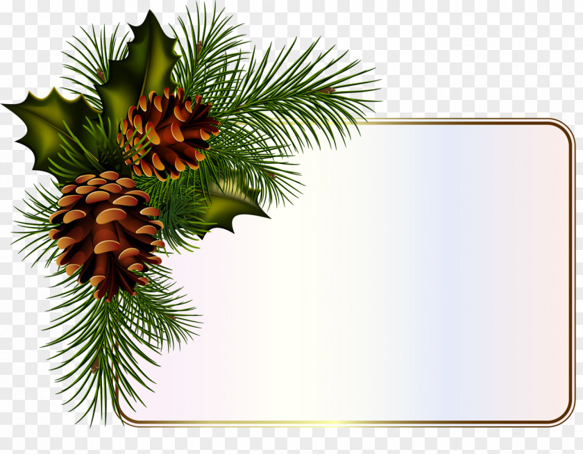 Rectangle Vascular Plant Christmas Black And White PNG
