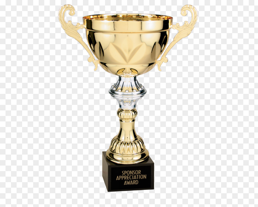 Trophy Gold Cup Award Gold/Silver Metal PNG