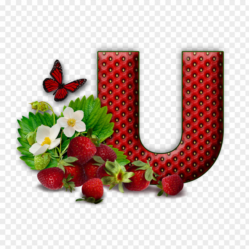 Flower Letter Alphabet M U PNG