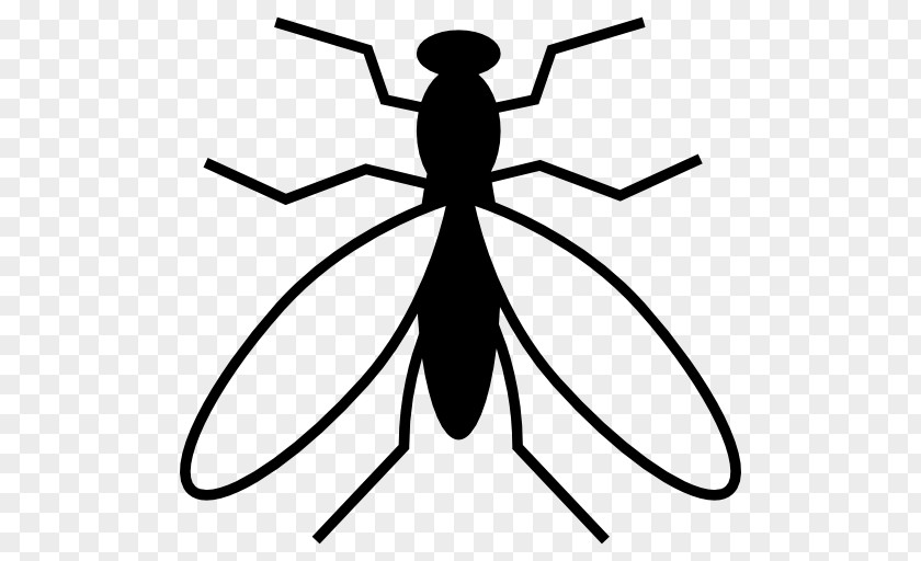 Insect The Icons Mosquito PNG