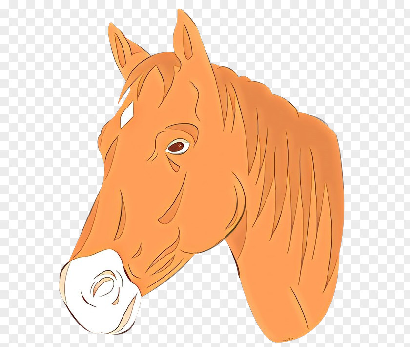 Stallion Livestock Horse Cartoon PNG