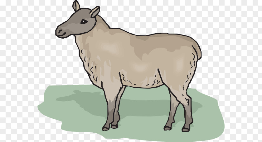 Cartoon Ewe Cheviot Sheep Clip Art PNG
