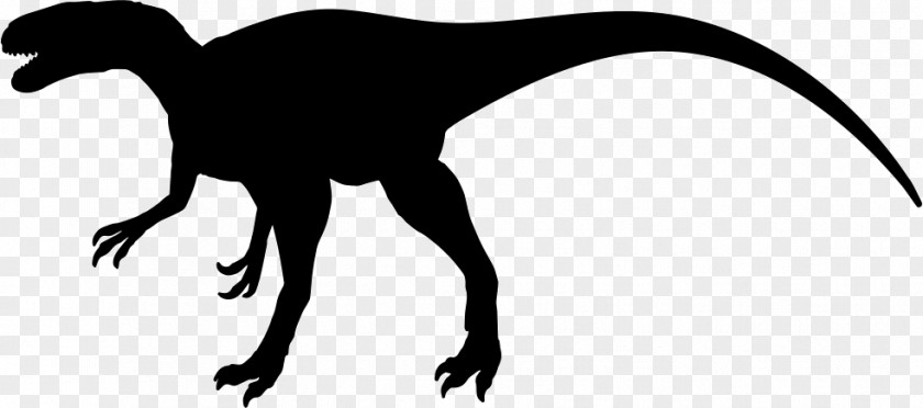 Dinosaur Megalosaurus Velociraptor Tyrannosaurus Allosaurus Worm PNG