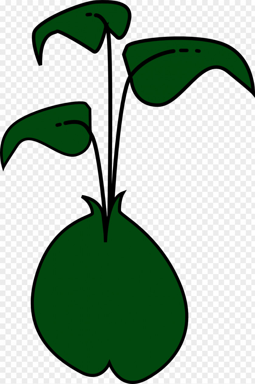 Plant Sprouting Green Bean Clip Art PNG