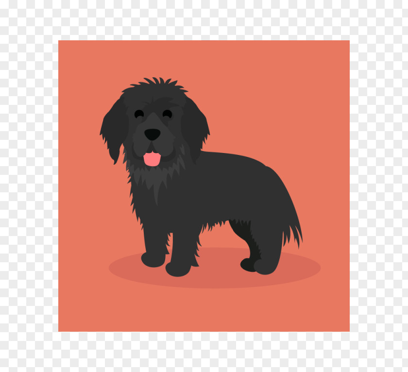 Puppy Schnoodle Affenpinscher Newfoundland Dog Havanese PNG