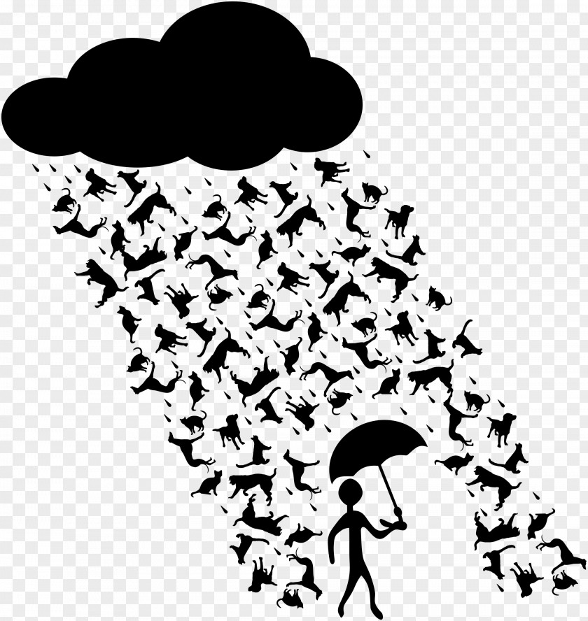 Rain Dog Cat Idiom Literal And Figurative Language Phrase PNG