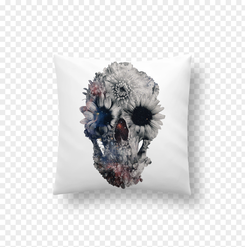 Skull Calavera Human Symbolism Art Skeleton PNG