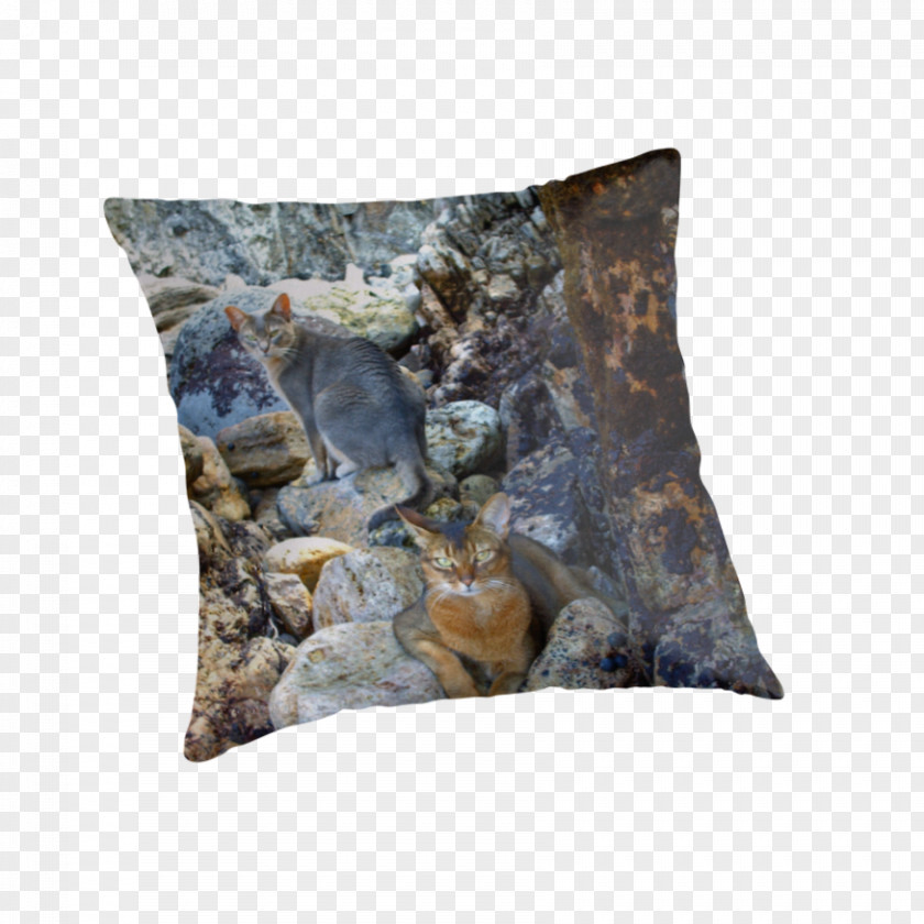 Throwing Stones At Someone Cushion Throw Pillows PNG