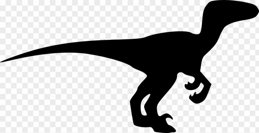 Dinosaur Velociraptor Triceratops Clip Art PNG
