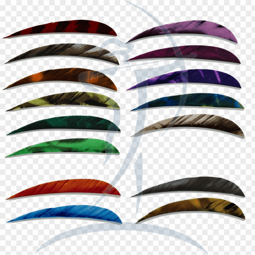 Feather Eyebrow Line PNG