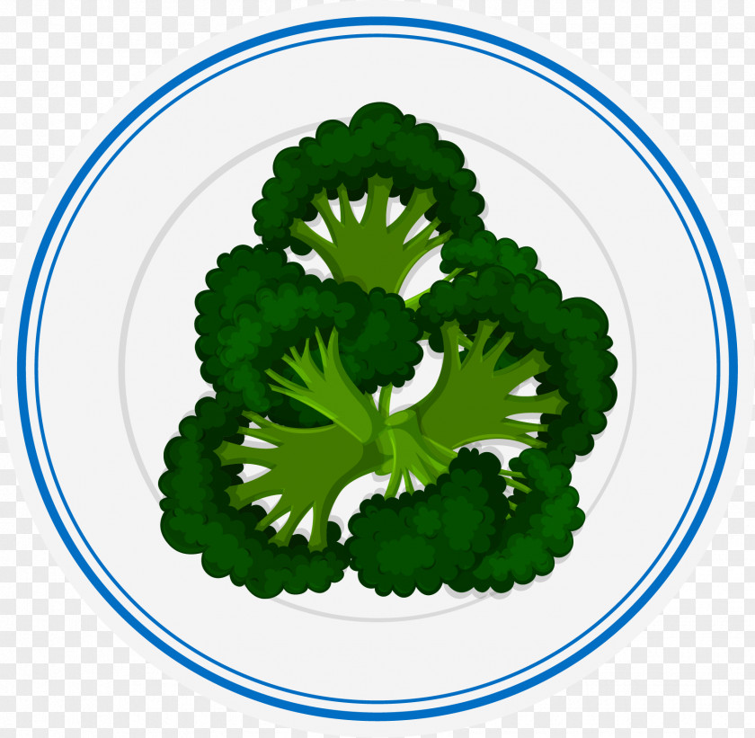 Fried Broccoli Italian Cuisine Pasta Food Plate PNG