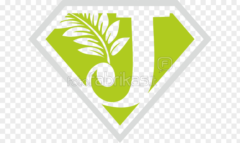 Logo Illustration Brand Font Leaf PNG