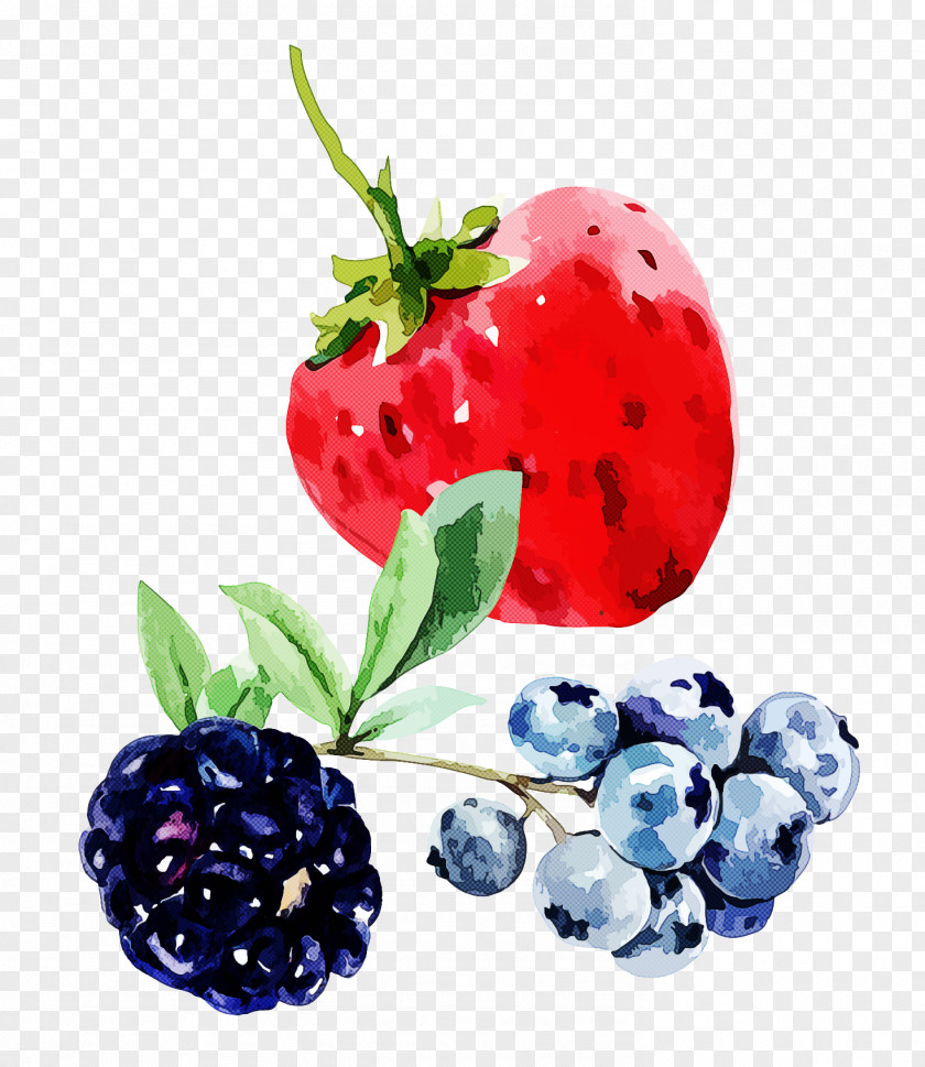 Strawberry PNG