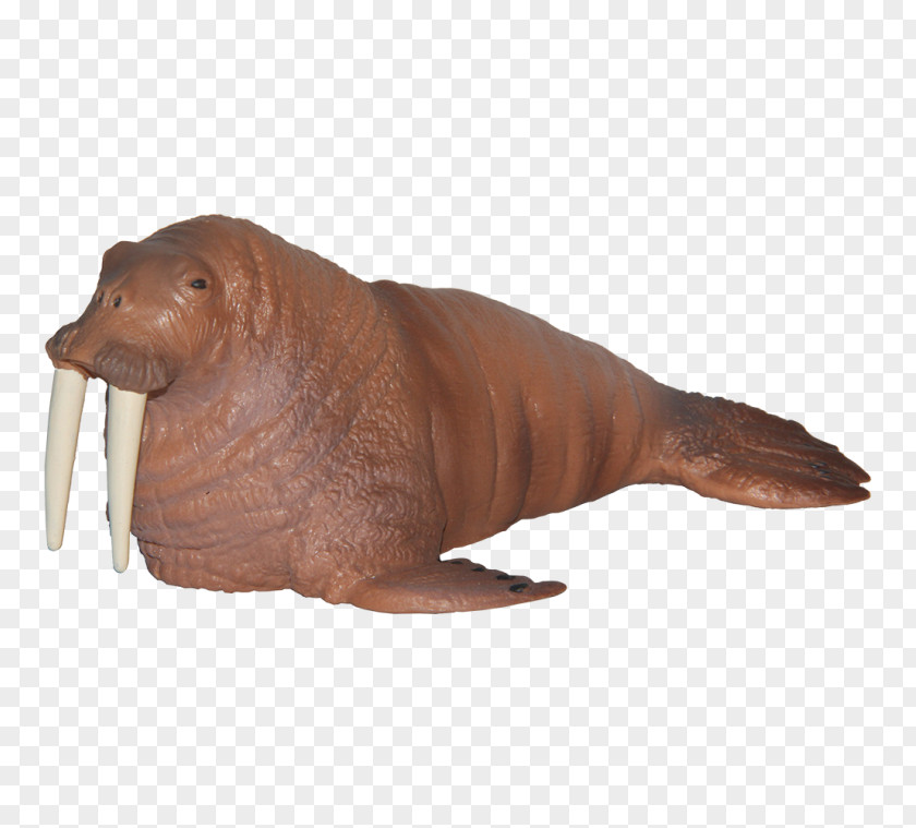 Walrus Sea Lion Toy Animal Maia & Borges Sealife Walross Seelöwe Handbemalt Seetiere PNG