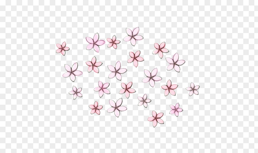 Wildflower Blossom Cherry PNG