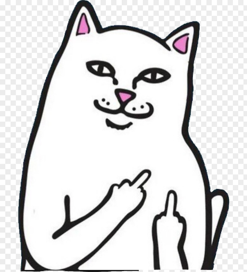 Cat Internet Troll T-shirt Sticker Middle Finger PNG